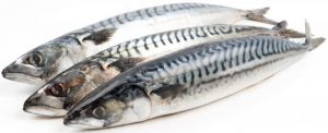 Скумбрия с/м 400/600 вес. Россия